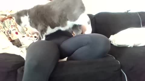 Snapshot of courtxoxo_o chatting on 20, 2, 2025 courtxoxo_o online show from 20, 2, 2025