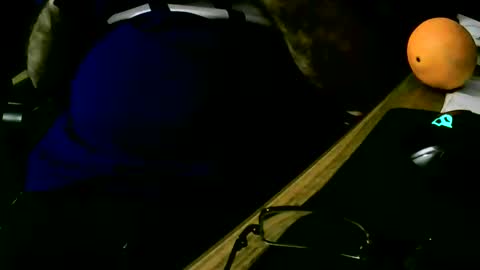 coyote017 online show from 19, 2, 2025