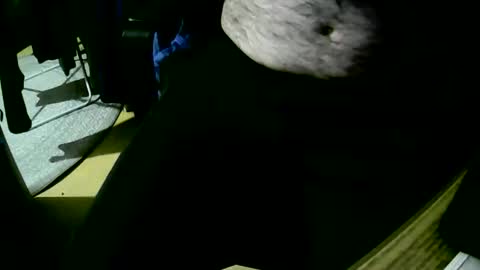 coyote017 online show from 22, 10, 2025