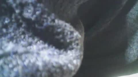 cplmature87 online show from 20, 2, 2025