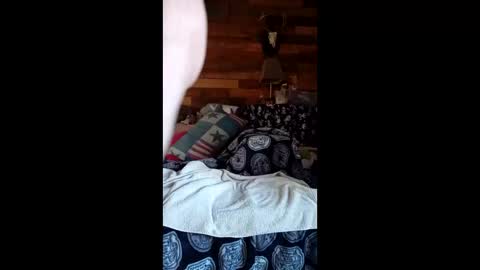 craig232301327629 online show from 2, 3, 2026