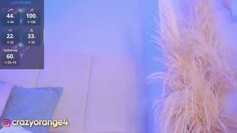 You can ask online show from 10, 3, 2025