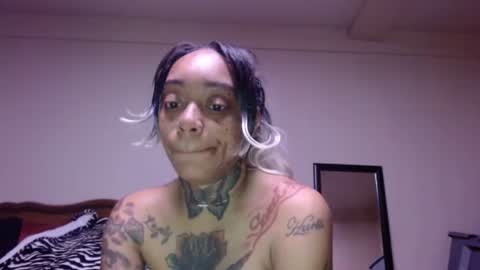 CreamyExotica online show from 16, 1, 2026