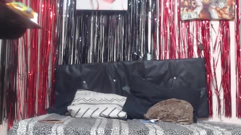 Snapshot of creazylove42 chatting on 6, 4, 2026 Frank and Nathy online show from 6, 4, 2026