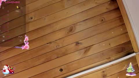 Cristal online show from 23, 11, 2025