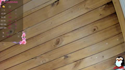 Cristal online show from 9, 2, 2026