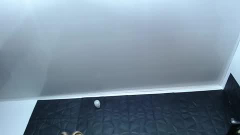 Snapshot of cristal_smith06 chatting on 17, 12, 2024 Hanna online show from 17, 12, 2024