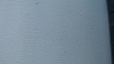 Snapshot of cristal_smith06 chatting on 15, 2, 2025 Hanna online show from 15, 2, 2025