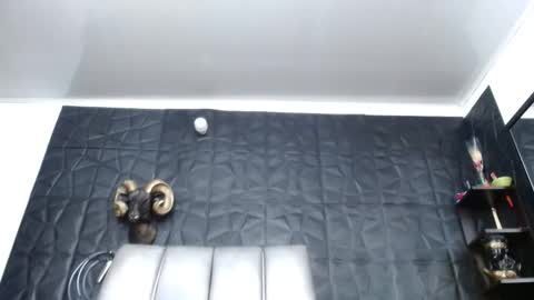 Hanna  online show from 21, 4, 2026