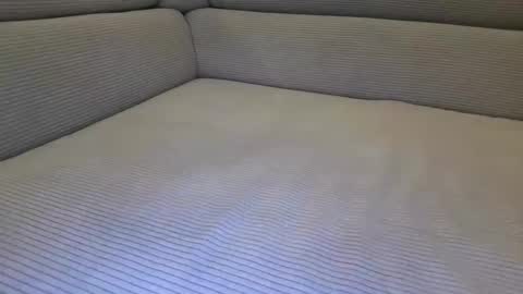 cuckold_2006 online show from 6, 4, 2026