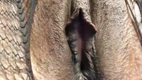 Snapshot of cuitbea chatting on 16, 2, 2026 Nambuusi Irene online show from 16, 2, 2026