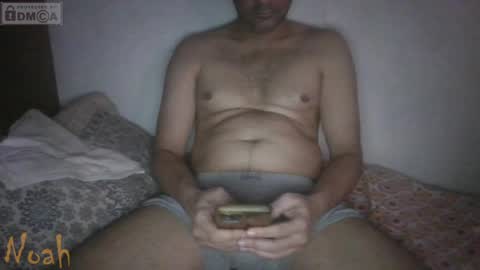 Noha online show from 7, 4, 2026