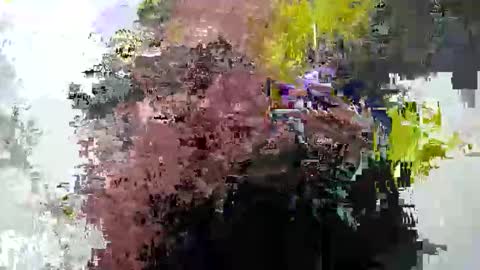 cummwitme211 online show from 25, 2, 2025