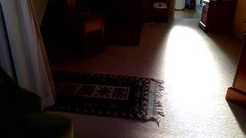 Snapshot of cumonherguys chatting on 28, 10, 2025 cumonherguys online show from 28, 10, 2025