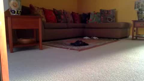 Snapshot of cumonherguys chatting on 8, 11, 2025 cumonherguys online show from 8, 11, 2025