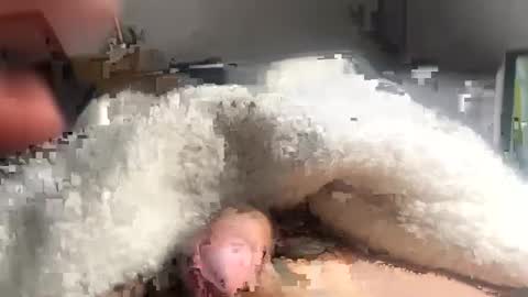 Snapshot of cumonmyf33t chatting on 22, 2, 2025 cumonmyf33t online show from 22, 2, 2025