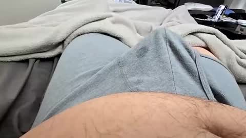 cumvet online show from 8, 12, 2024