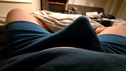 cumvet online show from 12, 12, 2024