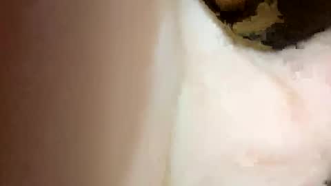 curvy24777 online show from 15, 2, 2025