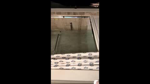 curvyd454066 online show from 26, 9, 2025