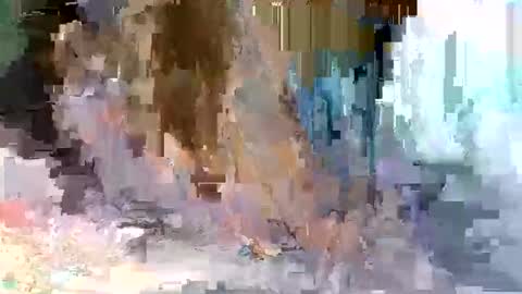 cute_savanna online show from 10, 3, 2026