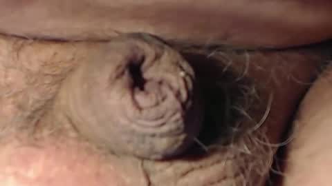 cute_stud1010 online show from 22, 2, 2026