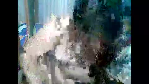 cutechubbyasian online show from 26, 4, 2026