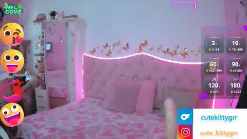 Kitty online show from 27, 11, 2025