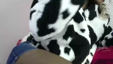 cutezola online show from 27, 3, 2026