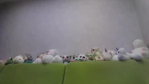 Chloe online show from 10, 10, 2025