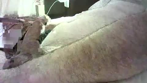 Snapshot of cv79brctba chatting on 29, 10, 2025 cv79brctba online show from 29, 10, 2025