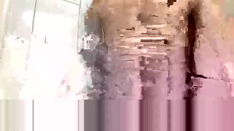 Snapshot of cvc2025 chatting on 10, 11, 2025 cvc2025 online show from 10, 11, 2025