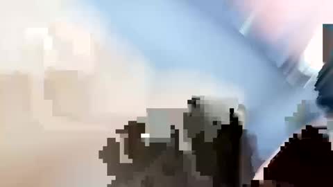 Wild-one online show from 28, 12, 2024