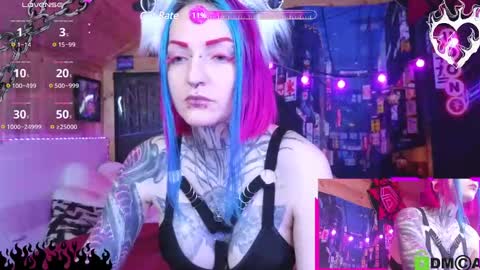 Neko online show from 25, 12, 2024