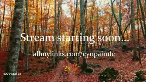 Cynpai online show from 29, 9, 2025