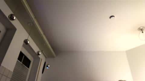 dachdecker7269 online show from 16, 12, 2025