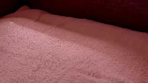  Richard  online show from 27, 2, 2025