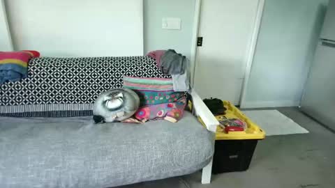 Snapshot of daddycache chatting on 27, 10, 2025 bas online show from 27, 10, 2025