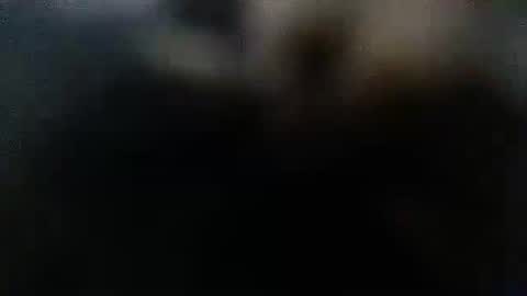 DDick online show from 12, 10, 2025