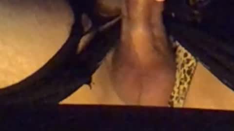 Snapshot of daddypervbuttprincess chatting on 13, 9, 2025 daddypervbuttprincess online show from 13, 9, 2025