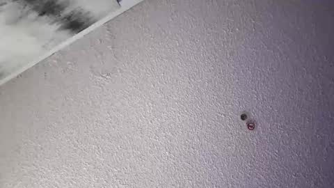 Snapshot of daddysg760472 chatting on 4, 4, 2026 PapiGuerodaddysgirl online show from 4, 4, 2026