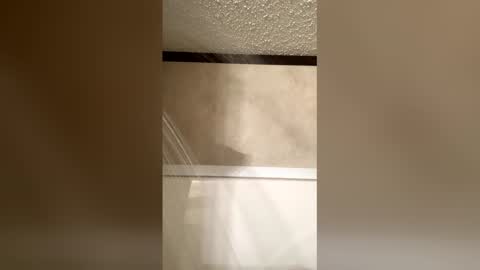 Nova payge online show from 6, 4, 2026