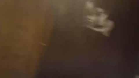 dadpervmind online show from 22, 2, 2026