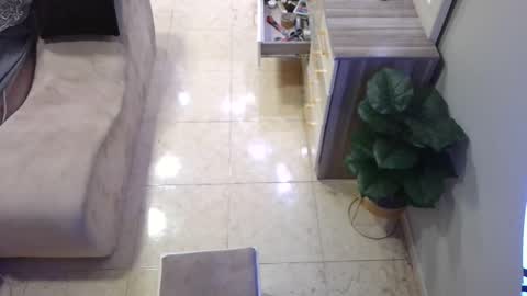 Snapshot of daffiih chatting on 16, 2, 2025 Deffa online show from 16, 2, 2025