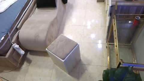 Snapshot of daffiih chatting on 6, 3, 2025 Deffa online show from 6, 3, 2025