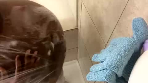 Snapshot of dafoxxx876 chatting on 24, 11, 2025 dafoxxx876 online show from 24, 11, 2025