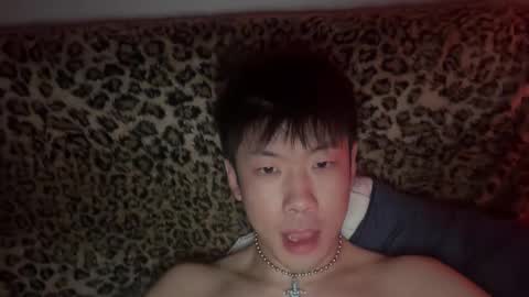 daggerpapi online show from 3, 5, 2026
