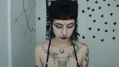 dakota online show from 14, 1, 2025