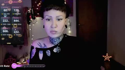 Dakota online show from 1, 12, 2025