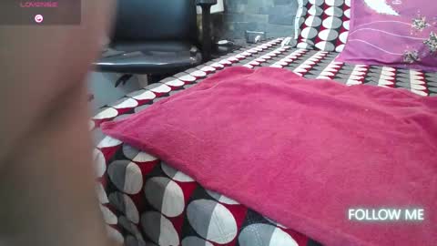 dalia dubey online show from 31, 10, 2025